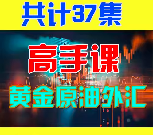 <h1>黄金原油外汇期货恒指零基础知识投资交易市场技术高手课程37节</h1>