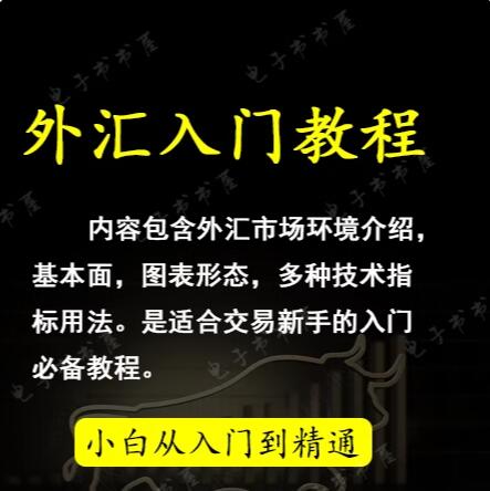 <h1>外汇交易进阶原理从入门到精通视频教程资料炒汇黄金原油白银视频下载</h1>
